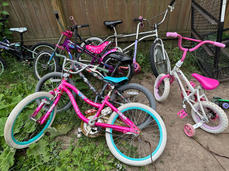 IMG_9192 Large.jpeg