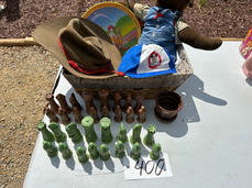IMG_7642 Large.jpeg