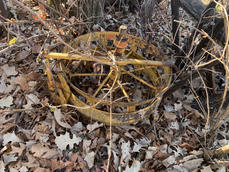 IMG_4208 Large.jpeg