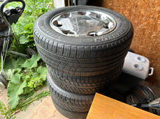 IMG_9179 Large.jpeg