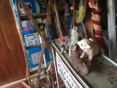 IMG_0342.JPEG