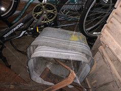 IMG_8219.jpeg