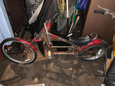 IMG_5768 Large.jpeg