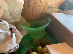 IMG_0994.jpeg