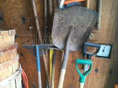 IMG_0319.JPEG