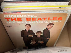 IMG_8377 Large.jpeg