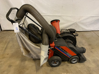 IMG_0474.jpeg