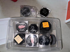 IMG_0642 Large.jpeg