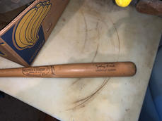 IMG_5786 Large.jpeg