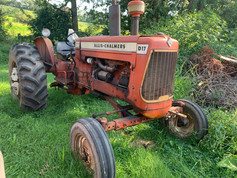 IMG_8323 Large.jpeg