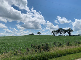 IMG_8030.jpeg