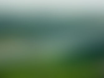 Tarifa De Fletes Se Mantiene A La Baja