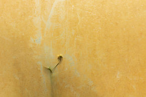 The Other Side of Plastic