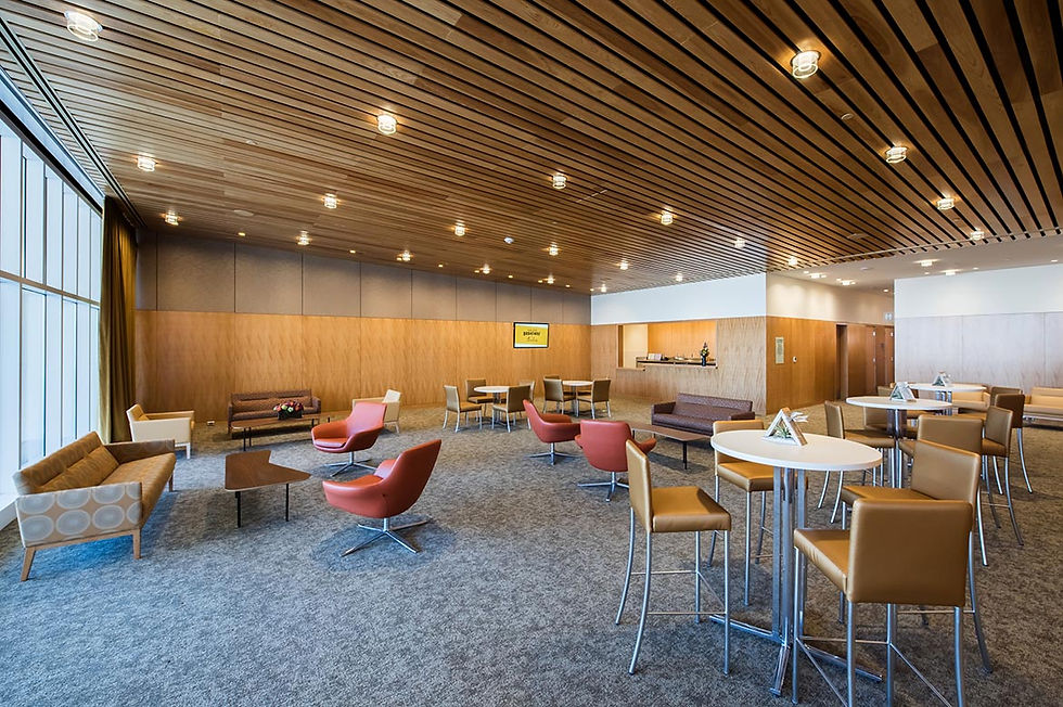 Eccles - VIP Lounge 2.jpg