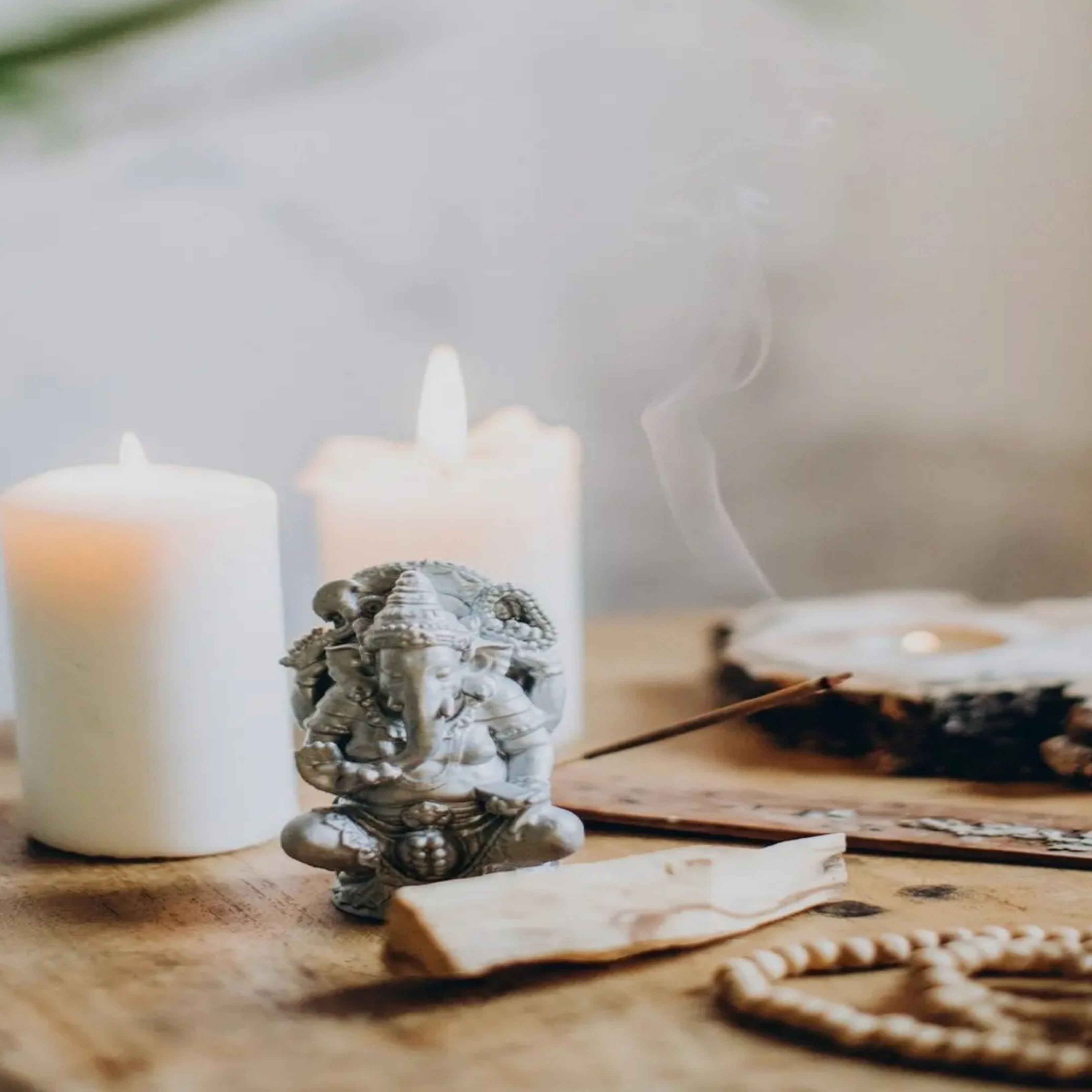 Oct 19, 2025 Wellness Expo, Dianne.net