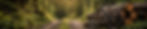 content_edited.jpg