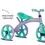 Miniatura: BRINQUEDO TRICICLO VERDEN BIKES BABY DOG LILAS C/ VERDE NATURE REF. 10499
