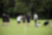eee2cc5d-2497-440d-81a1-611ec8b1a856_wo_edited.jpg