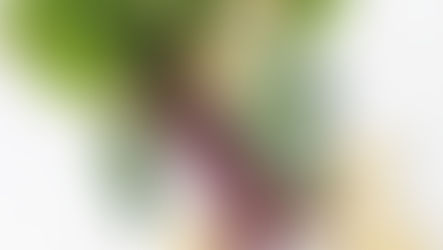 Top 10 Vitamin K Rich Foods