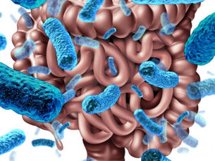 A Holistic Approach to Constipation