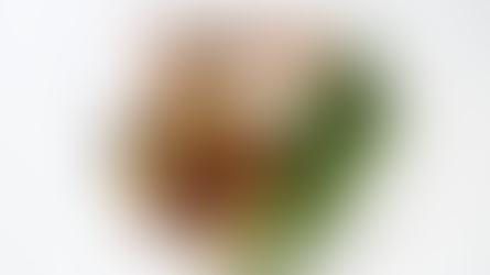 Everything Bagel Salmon