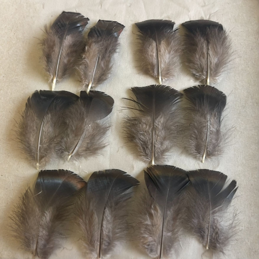 Product:  Wild Turkey Lesser and Medium Secondary Wing Coverts - 1 ounce
