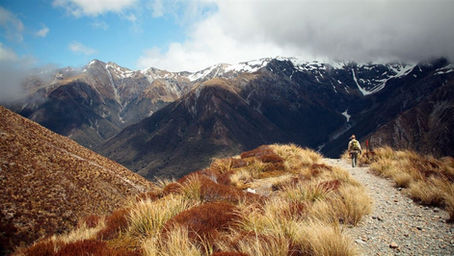 Biffo at Arthur's Pass