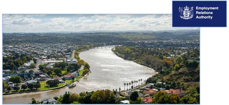 SLAPP-happy in Whanganui