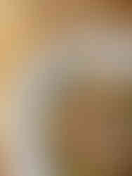 Chicken with Brussels Sprouts, Asparagus, and a Lemon-Gravy Sauce - amanda macgregor