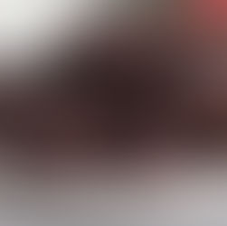 Plant-Based Brownies