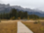 Our Banff Honeymoon Recap - amanda macgregor - joseph centineo - food allergy blog