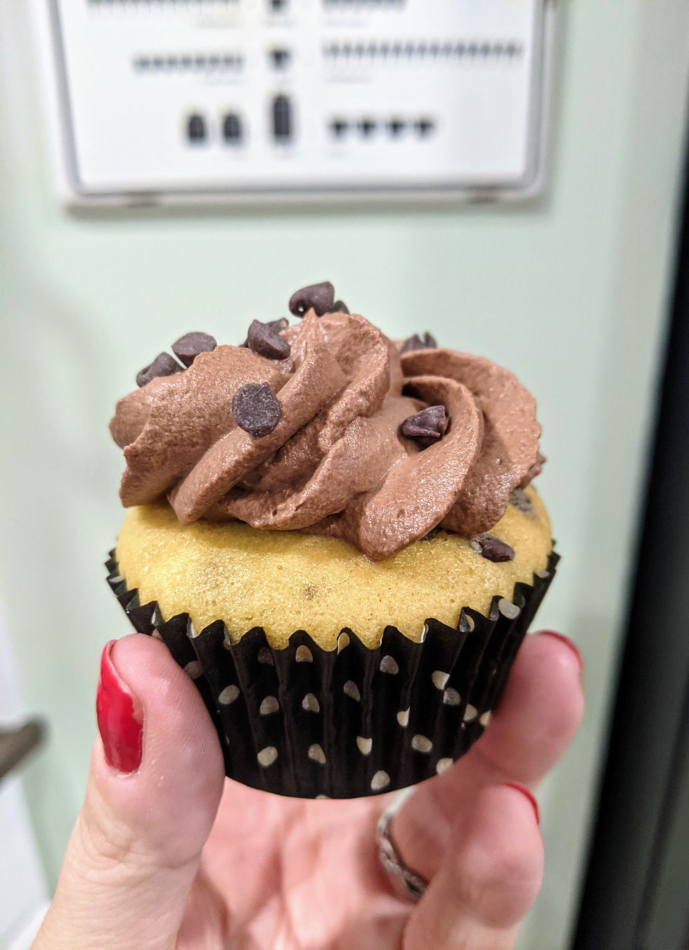 Chocolate Chip Cookie Dough Cupcakes - Amanda MacGregor