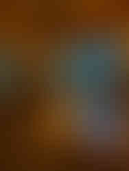 Our Banff Honeymoon Recap - amanda macgregor - joseph centineo - food allergy blog