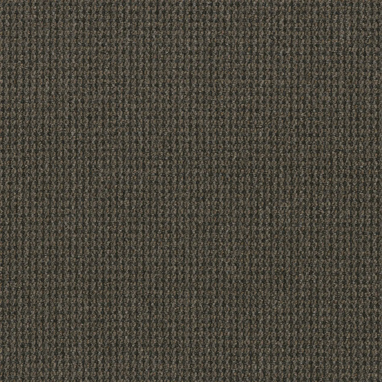 3292 Adventure