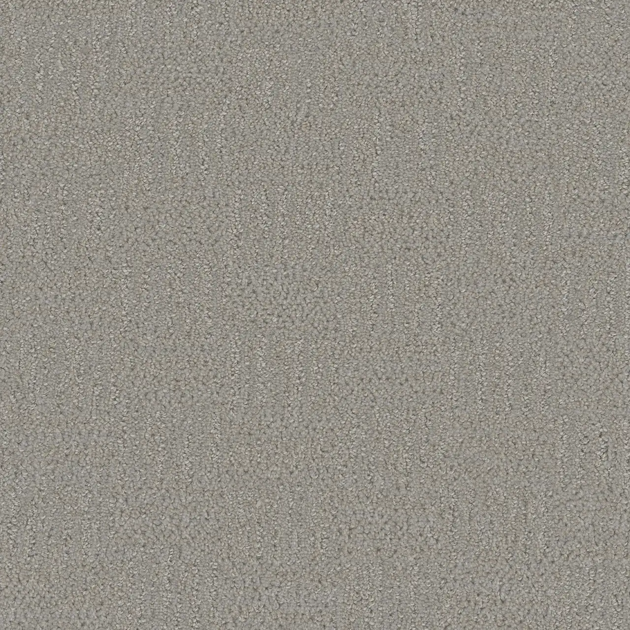 2070 Star Dust