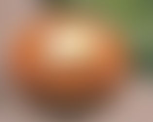 VIAJE A LA NATURALEZA!!