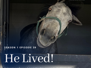 He Lived! - Part 17