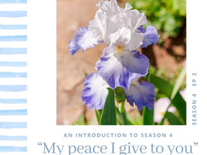 "My Peace I Give to You"