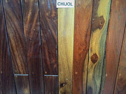 13015361_10156806000705411_4381596939687009311_n