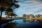 cabin waters (2).jpg