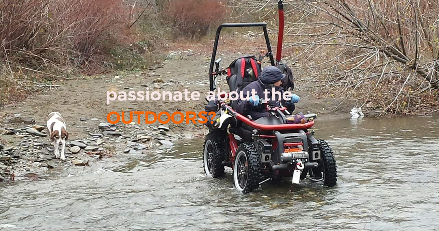 invalid buggies for sale