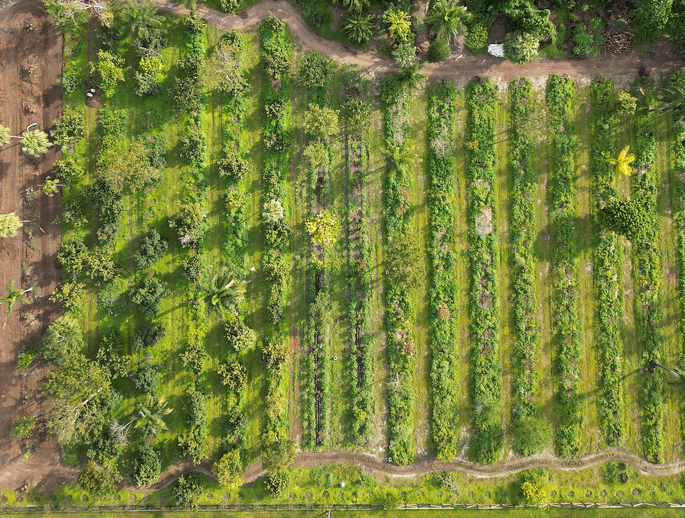 DJI_0071.jpg