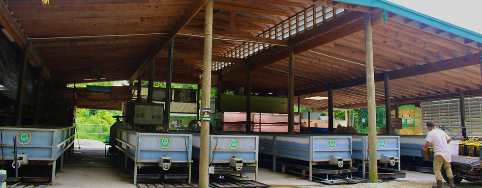 59734337-E0AC-43CE-B981-B06BD0979CE5_L0_001-9_18_2025, 3_39_22 PM.jpg