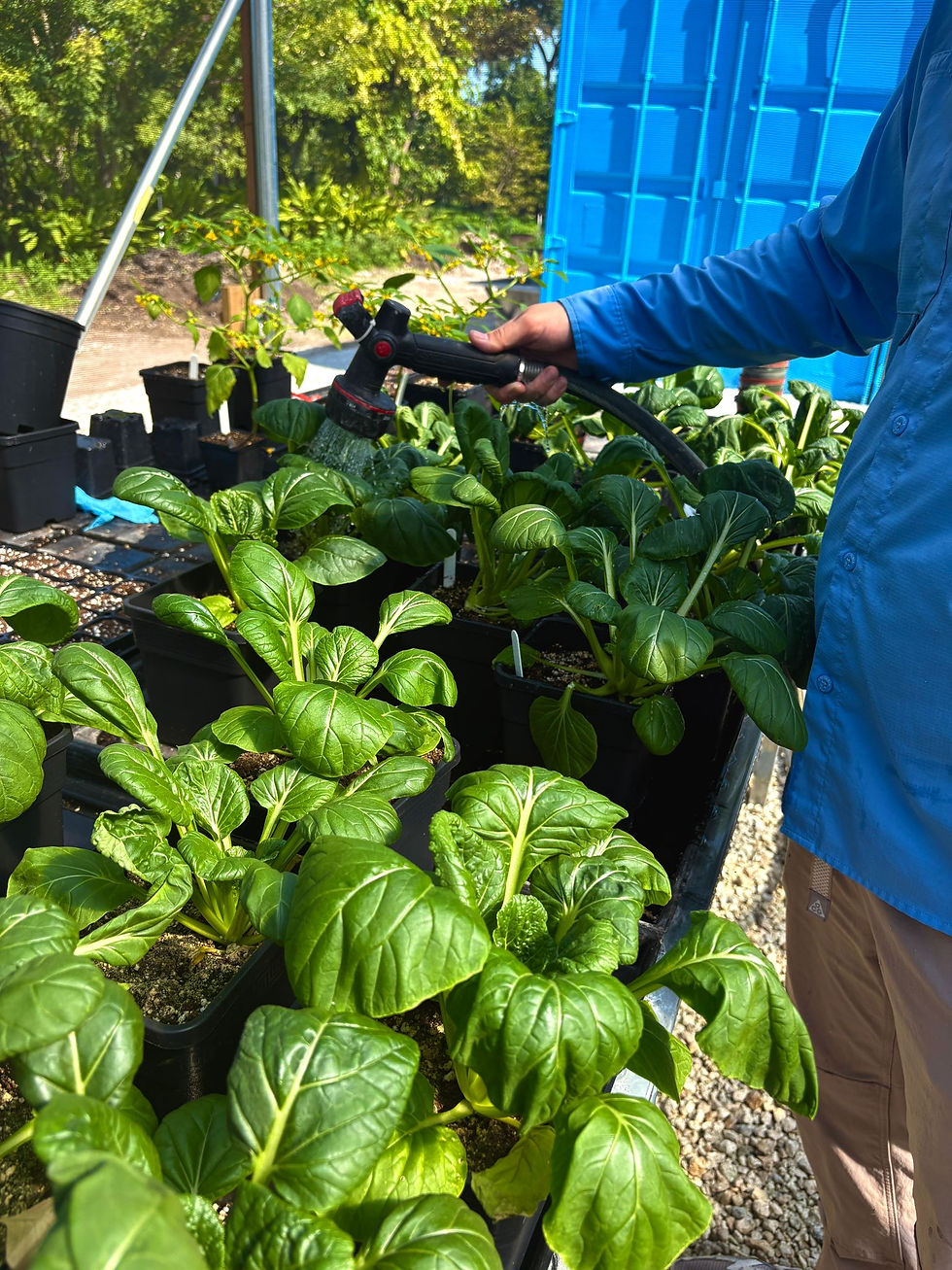 WhatsApp Image 2026-01-11 at 1.39.57 AM.jpeg