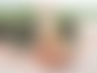 Flere kan nu få glæde af ferieboliger med ny bekendtgørelse