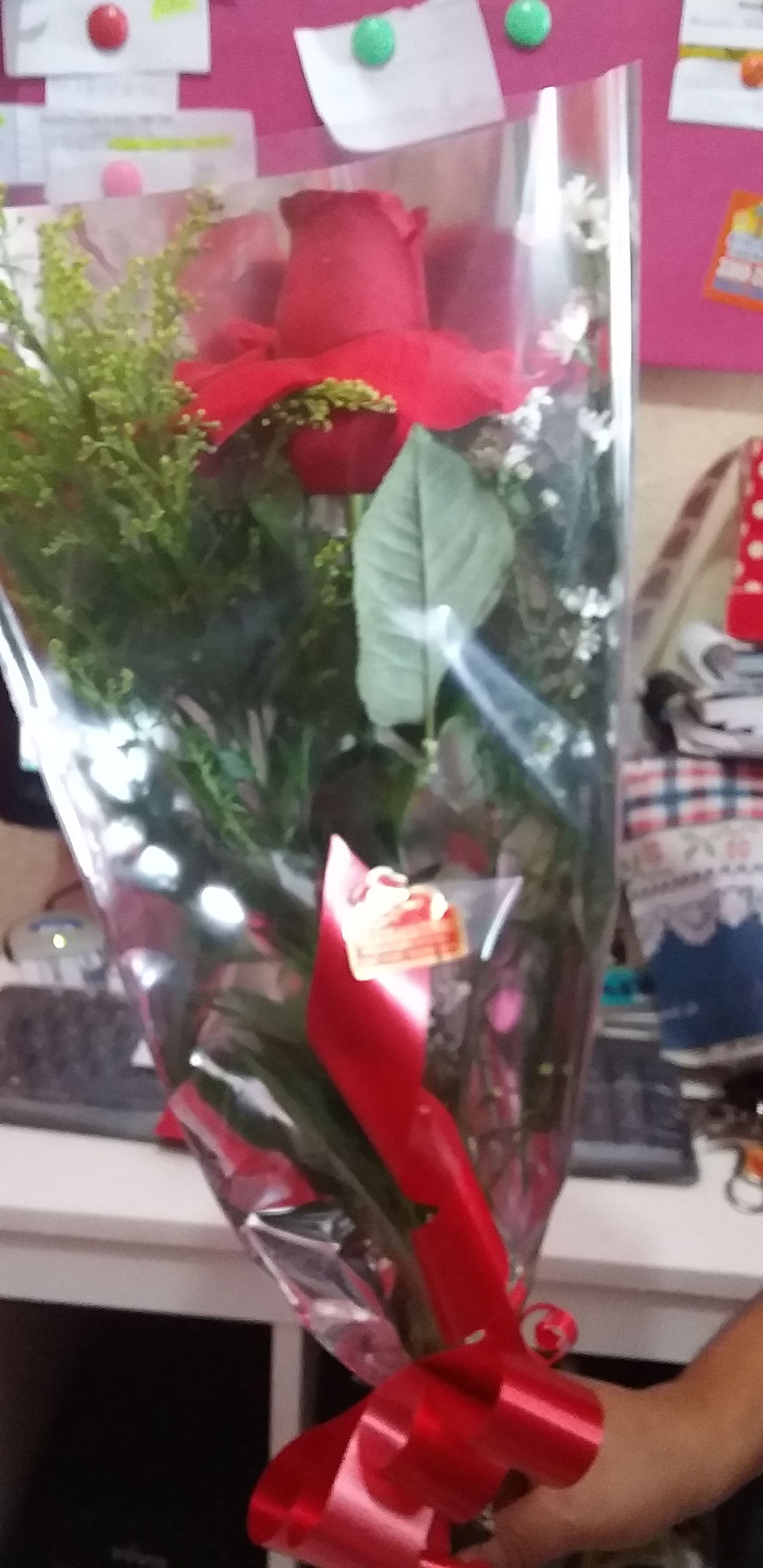 Miniatura: Arranjo de 1 rosa com aster e tango.