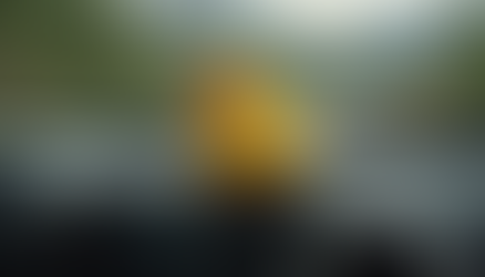 The Quirky Tradition of Jeep Wrangler Owners and Their Rubber Duckies