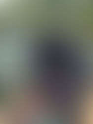 Chesterfield Family Things To Do