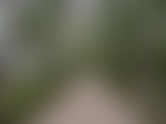 Chesterfield Outdoor Series: River's Edge