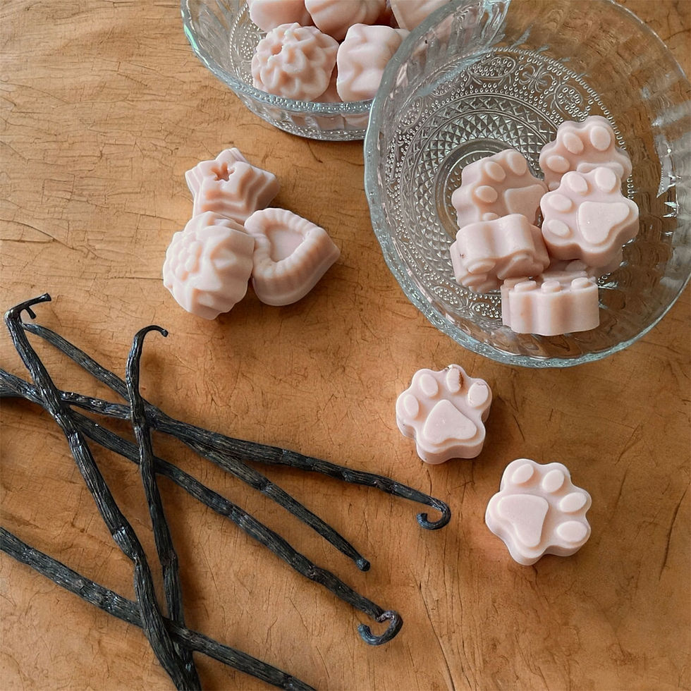 Miniature : Fondants parfumés cire de colza pattes ou muffins